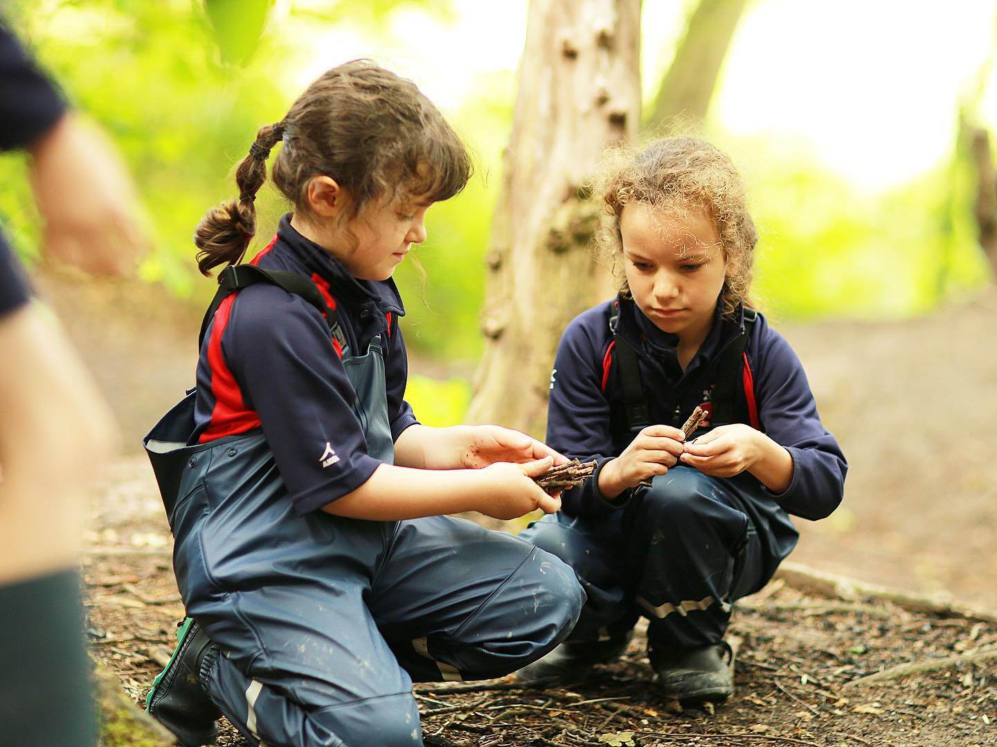 Prep Forest and Beach School Prep Forest and Beach School